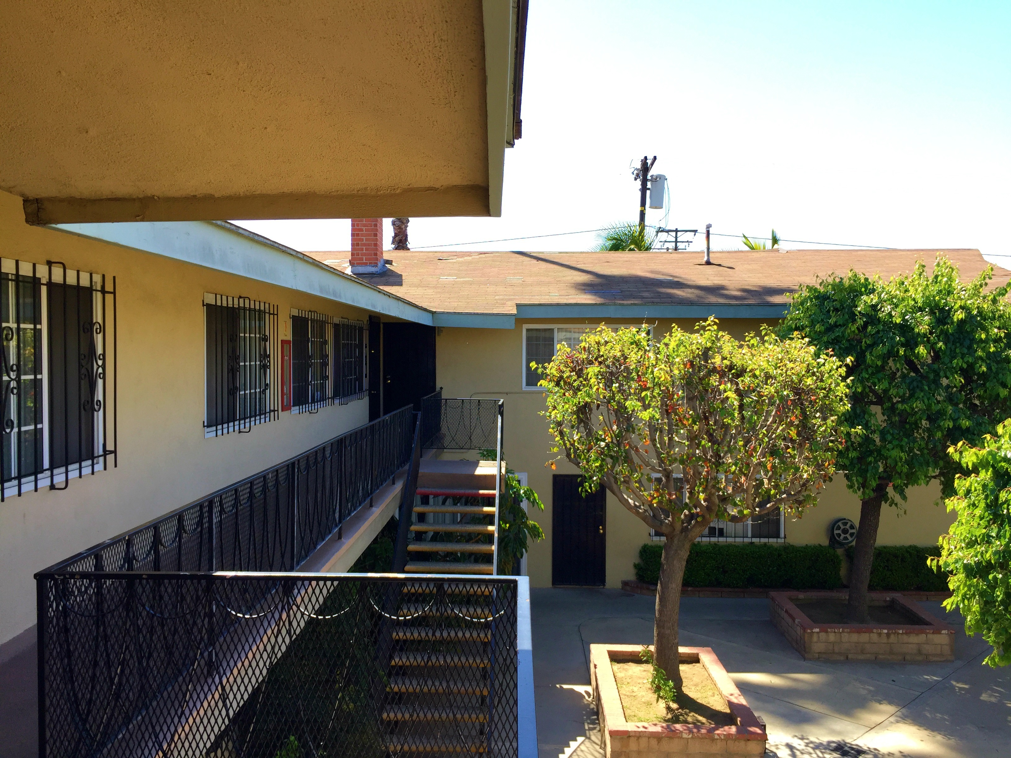 A tree in a planter is in the foreground of a building with a balcony.